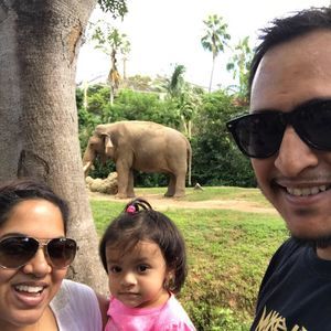 Meet your Posher, Vinesh